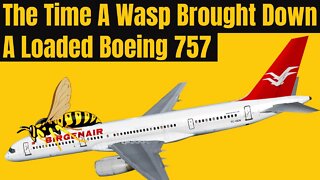 The True Story Of How A Wasp Caused The Crash Of Birgenair Flight 301