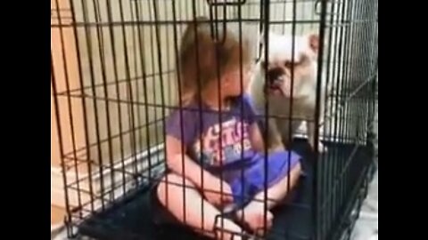 Kids playing with Puppies/ Children playing with Pets.