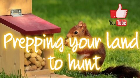 Prepping: Preparation of your land to hunt