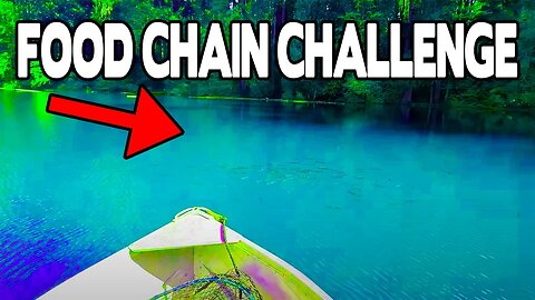Food Chain Fishing CHALLENGE! (Catch & Cook)