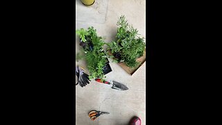 Herb Garden - Zone 8B