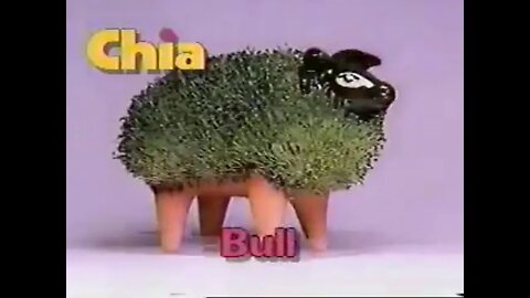 Chia Pet - the pottery that GROWS!