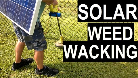 Off Grid solar weed wacking with a solar panel - just to see if it works!