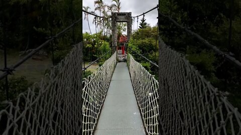 #Baozhong #Yimin Temple Garden Suspension Bridge #shorts#Hyperlapse #義民廟觀光花園