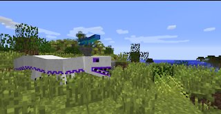 Minecraft: Animal bikes-Chinese Dragon!!!