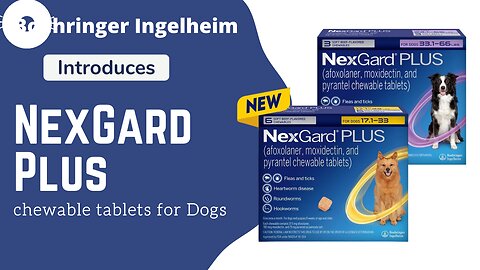 Boehringer Ingelheim Launches NexGard Plus Chewable for Dogs