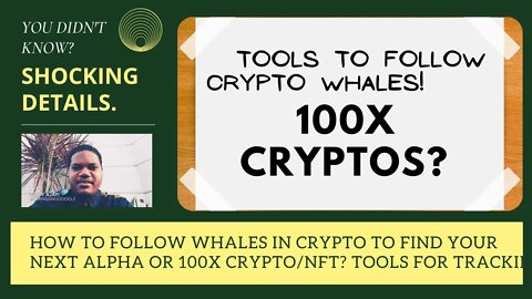 How To Follow Whales In Crypto To Find Your Next Alpha Or 100x Crypto/NFT? Tools For Tracking Whales