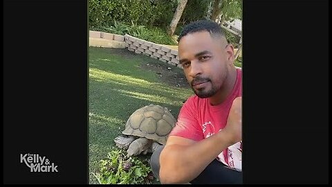 Damon Wayans Jr. Saved His 50 lb Tortoise Encountered a Rattle Snake