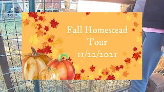 Fall Homestead Tour - 22 November 2021