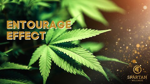 Medical Cannabis and the Entourage Effect