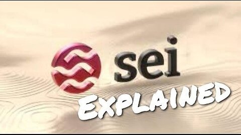 SEI Explained