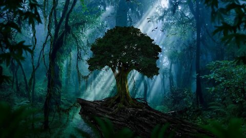 Forest Elf Music – Leafblade Woods [2 Hour Version]