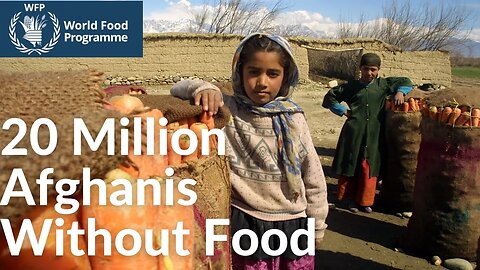 Afghanistan Food Shortage. Ukraine War Fallout | Part Six