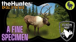 A Fine Specimen, Yukon Valley | theHunter: Call of the Wild (PS5 4K)