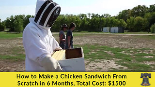 How to Make a Chicken Sandwich From Scratch in 6 Months, Total Cost: $1500