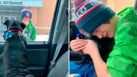 When the boy saw his friend he could not hold back his tears