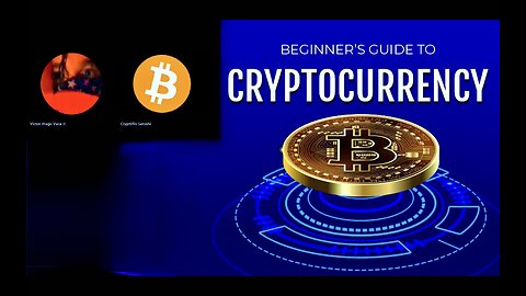 Digital Gold Safeguard Wealth A Beginners Guide To CryptoCurrency Bitcoin Rises USA Fiat Dollar Dies