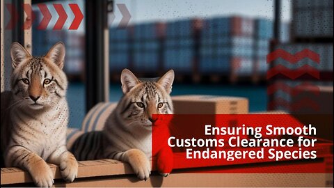 Safeguarding Endangered Species: Customs Clearance Procedures