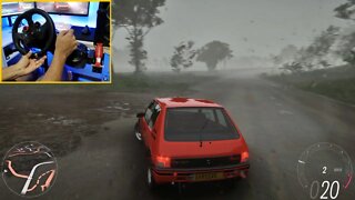 PEUGEOT 205 RALLYE - FORZA HORIZON 5 - Steering Wheel + Shifter G29