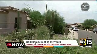 Downburst winds likely caused Gold Canyon damage