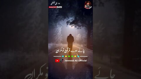 #shorts - Shala O Saa Mera Akhri Howay - Punjabi Shayari Whatsapp Status -Sad Punjabi Poetry