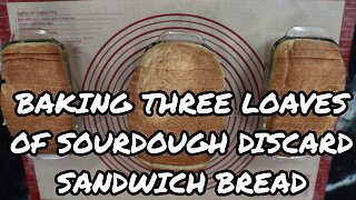 Baking Three Loaves of Sourdough Discard Sandwich Bread - Rushed Out Edition