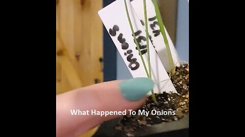 What Happened to My Onions!!