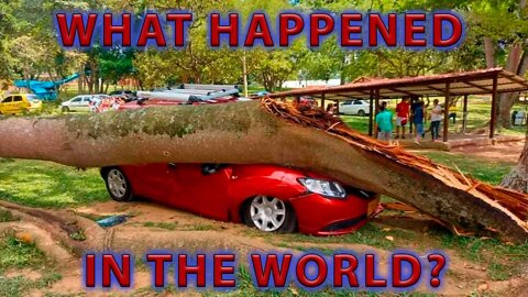 🔴WHAT HAPPENED IN THE WORLD on February 17-19, 2022?🔴 Deadly storm in Europe🔴Blizzard in Canada & US