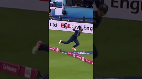 best boundary catch in cricket Harleen Deol women's cricket #icc #bcc #cricket #SHORTS #catch