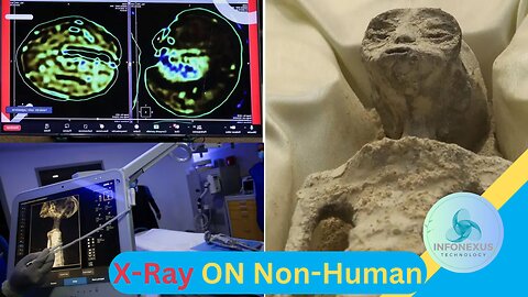 "Mexican UFO Expert Conducts X-Rays on 'Non-Human' Beings Presented at Congress"