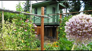 Chicken Coop Build Part 1 (2016)