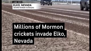 Millions Of Crickets Descend Upon 6 Counties In Nevada