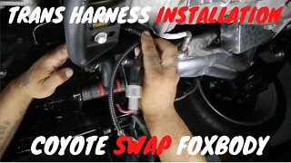 Foxbody Transmission Harness Installation