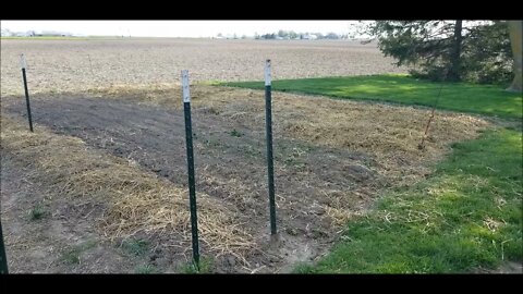 Ground-breaking garden video...literally!