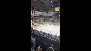 Catapult a fan at the Milwaukee admirals game