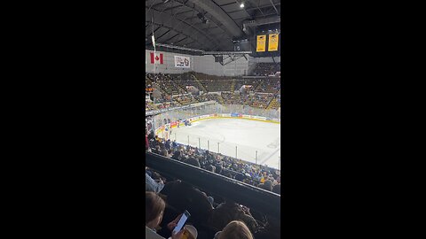 Catapult a fan at the Milwaukee admirals game