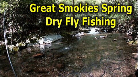 Great Smokies Fly Fishing Crowd Control