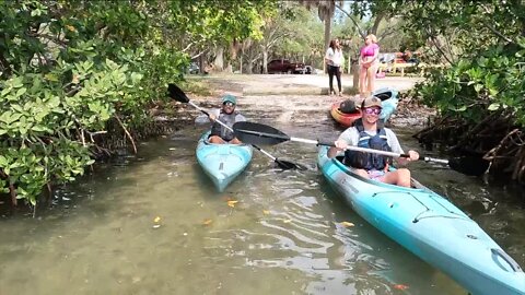 Earth-friendly Ecomersion kayak tours open new location on Boca Ciega Bay in St. Pete