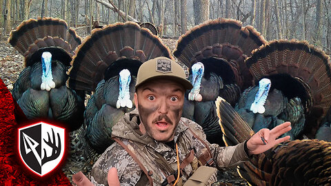 Surrounded by Birds! Action-packed Turkey Bowhunt!