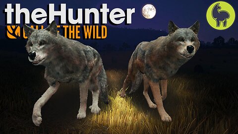 Howling at the Moon, Hunt Club Beta | theHunter: Call of the Wild (PS5 4K 60FPS)