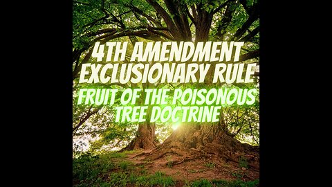 188-Court 101-4th Amendmnent-Terry Stop vs Exclusionary RuleFruit of The Posonous Tree