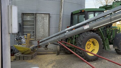 Pulling Soybeans out of Bin the hard way