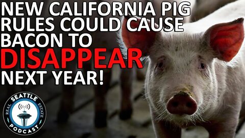 New California Pig Rules Could Cause Bacon to Disappear Next Year!