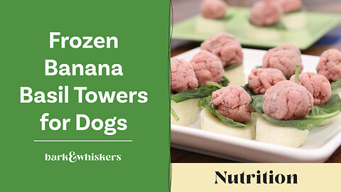 Frozen Banana Basil Towers for Dogs