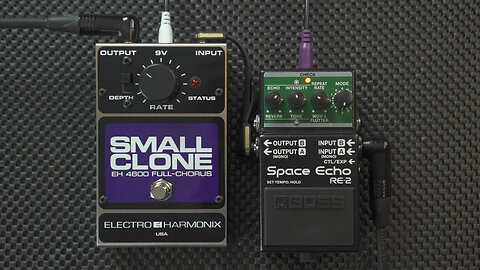 BOSS Space Echo + Electro-Harmonix Small Clone