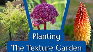 Plants for Texture (New Garden Design)