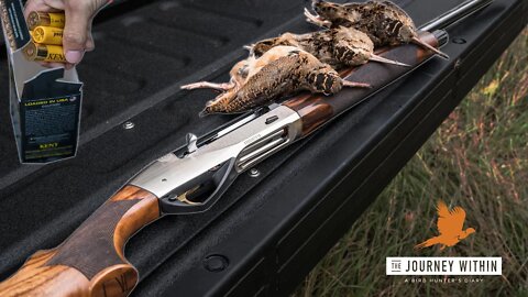 Michigan Woodcock: Benelli & Kent Cartridges Combo | Mark V Peterson Hunting