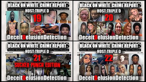 Black on White Crime Report Marathon 19, 20, 21, 22 - Deceit Delusion Detection