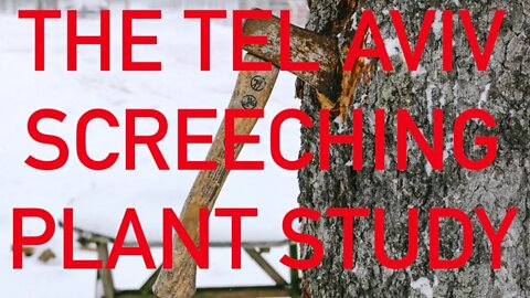 Plants Scream When Stressed: A Video On The Tel Aviv Plant Study // Creepy Plant Series
