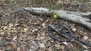 Key To Treasure Metal Detecting